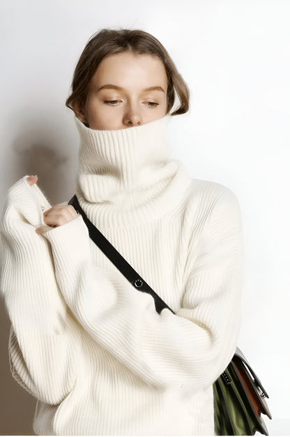 Dalizza™ Simple Knit Turtleneck Sweater